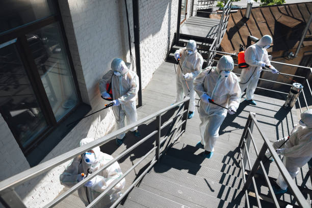 Best Environmental Consulting for Mold Prevention  in Wahneta, FL