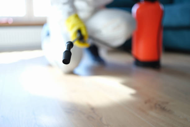 Best Industrial Mold Remediation  in Wahneta, FL