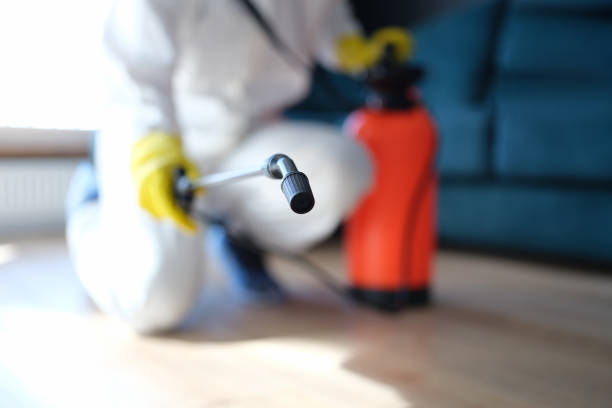 Best Air Quality Testing for Mold Spores  in Wahneta, FL