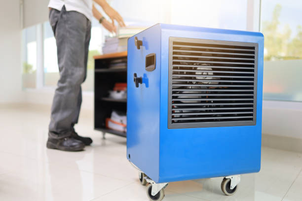 Best Real Estate Mold Inspection  in Wahneta, FL