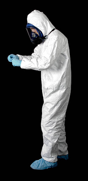Best Black Mold Removal  in Wahneta, FL