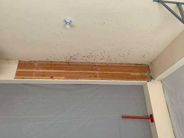 Best Post-Remediation Verification Testing  in Wahneta, FL