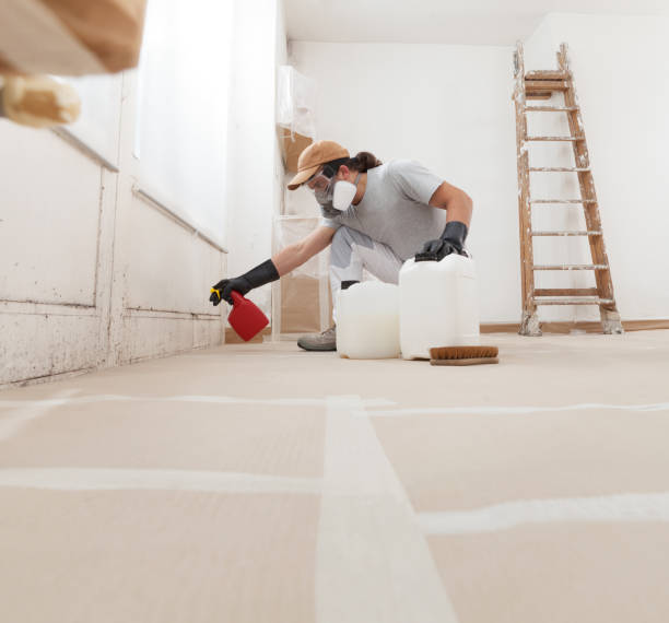 Best Forensic Mold Investigation  in Wahneta, FL