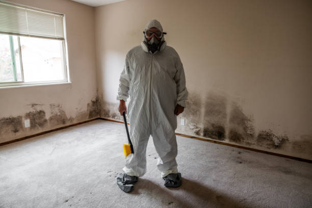 Best Mold Odor Removal Services  in Wahneta, FL