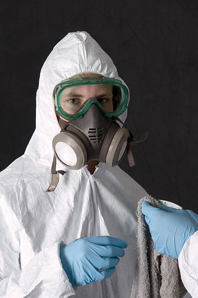 Best Water Damage & Mold Remediation  in Wahneta, FL
